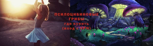 экстази Богданович