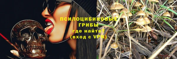 молекула духа Белокуриха