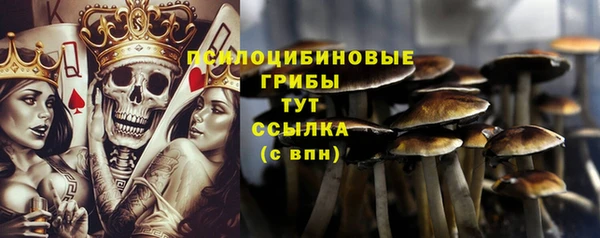 молекула духа Белокуриха